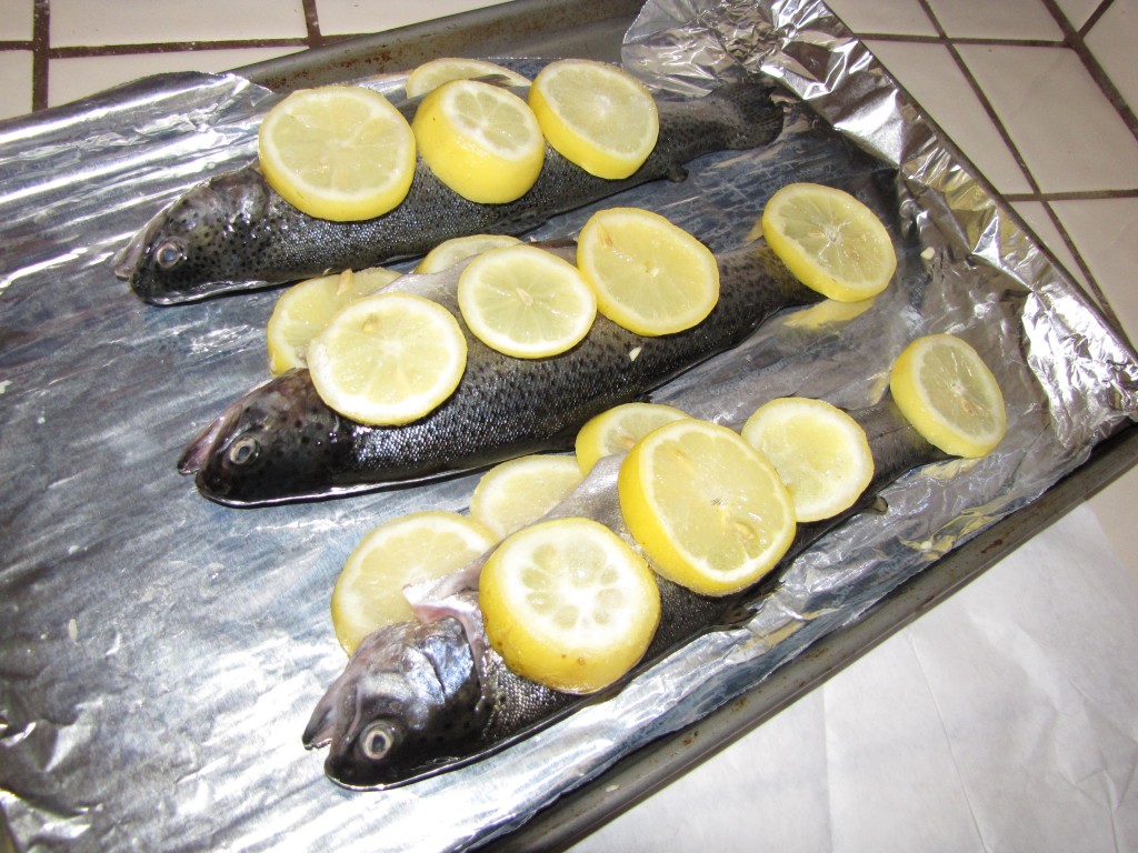 Baked Trout Lemon Garlic