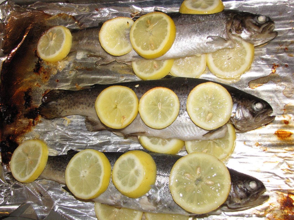 Baked Trout Lemon Garlic 3