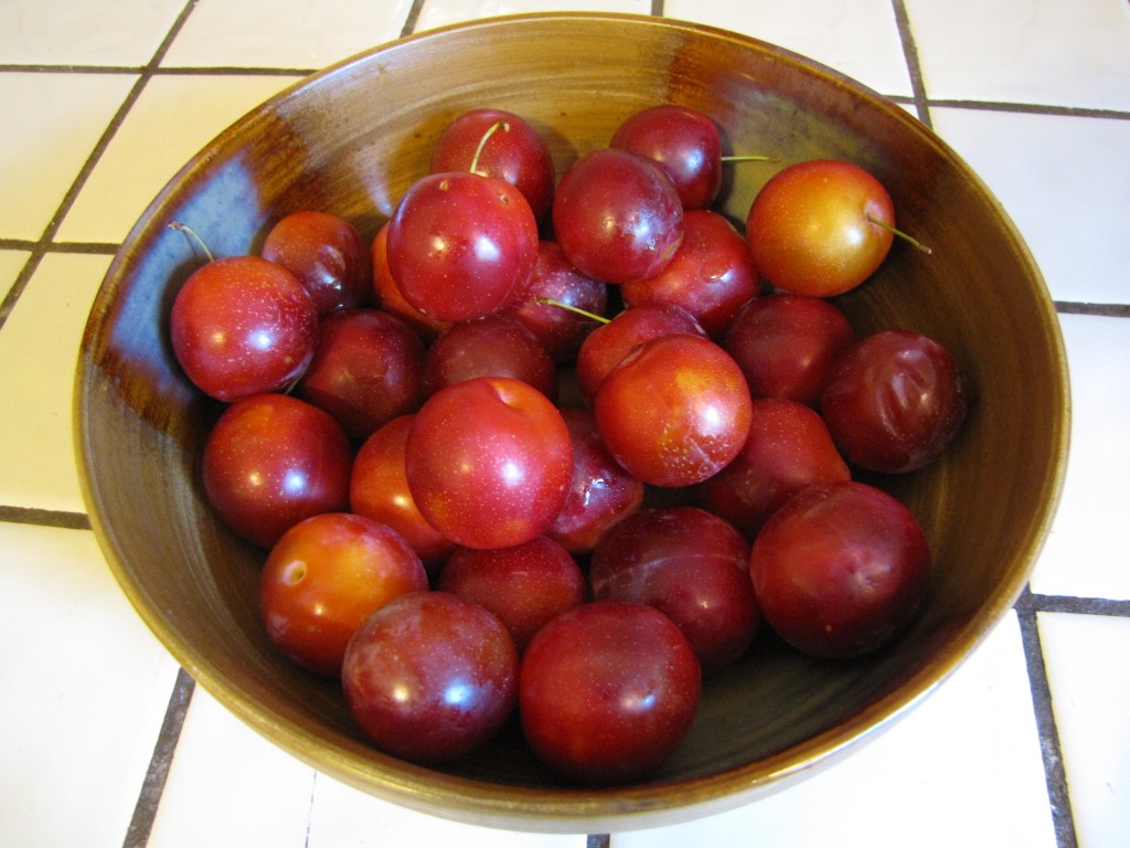 Plums