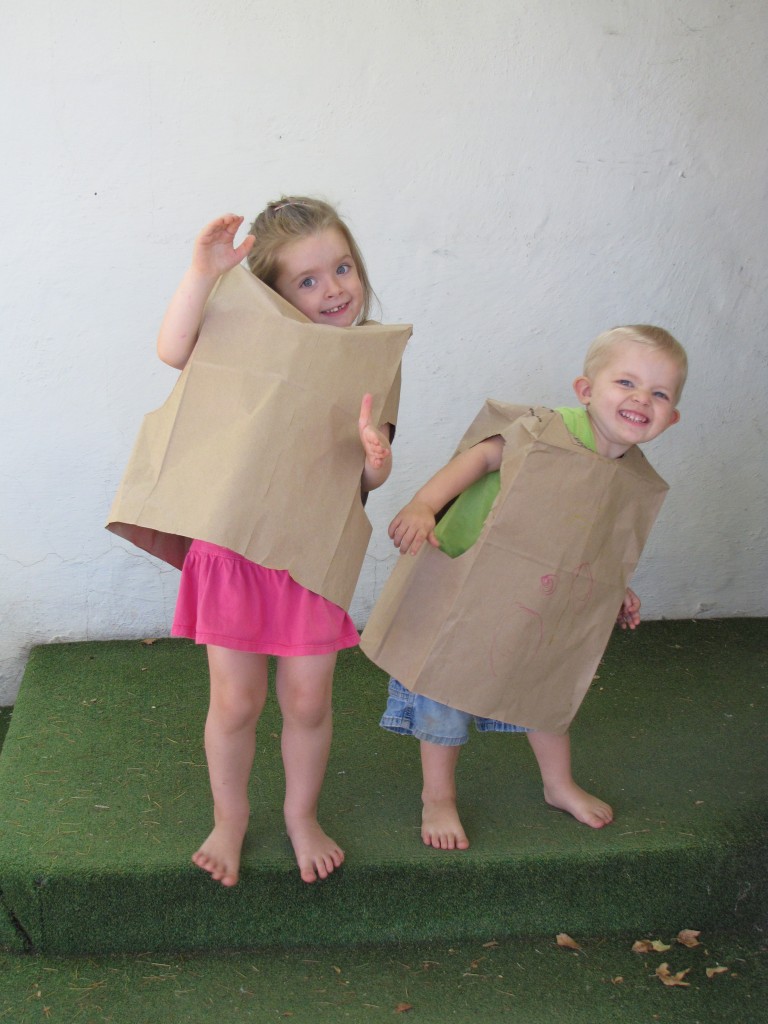 Paper Bags