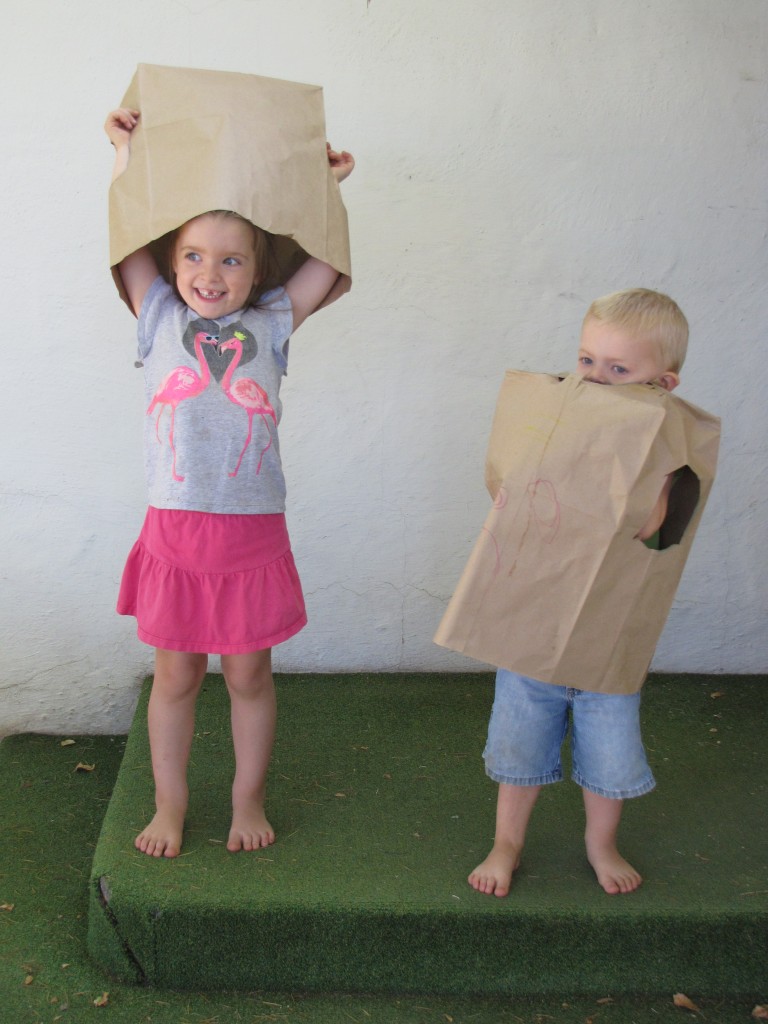 Paper Bags 4