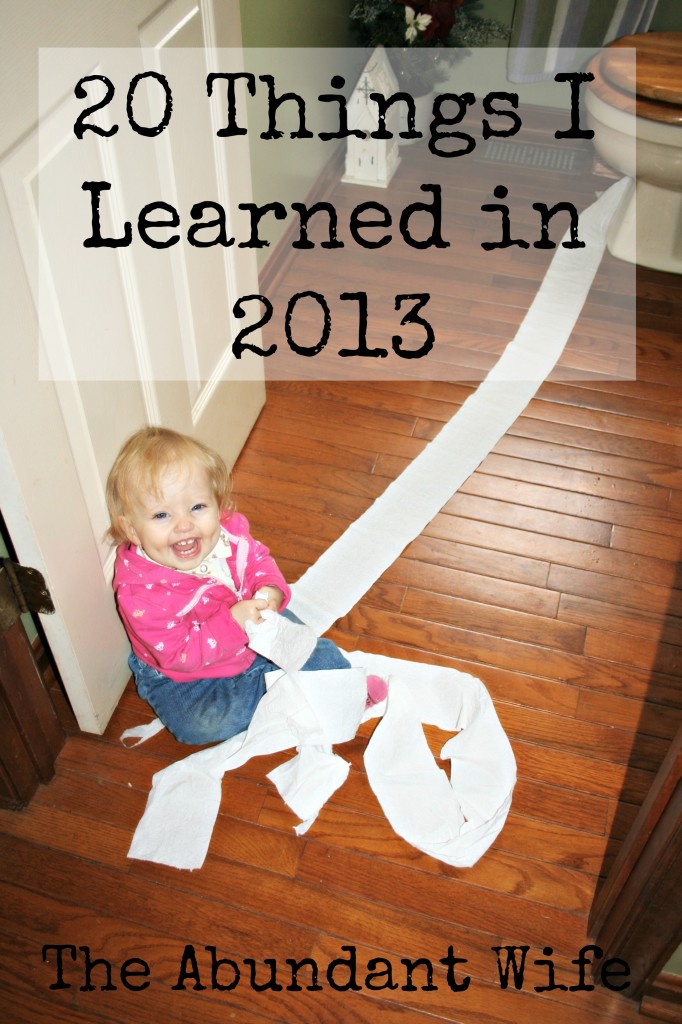 20 Things I Learned in 2013