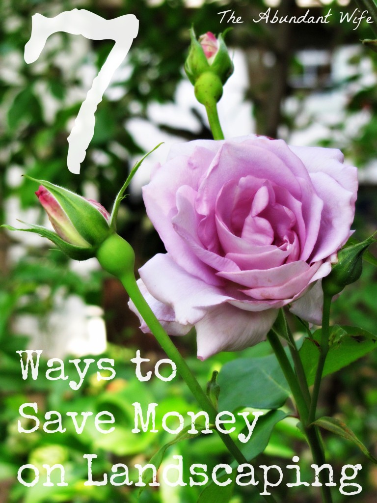 7 Ways to Save Money on Landscaping