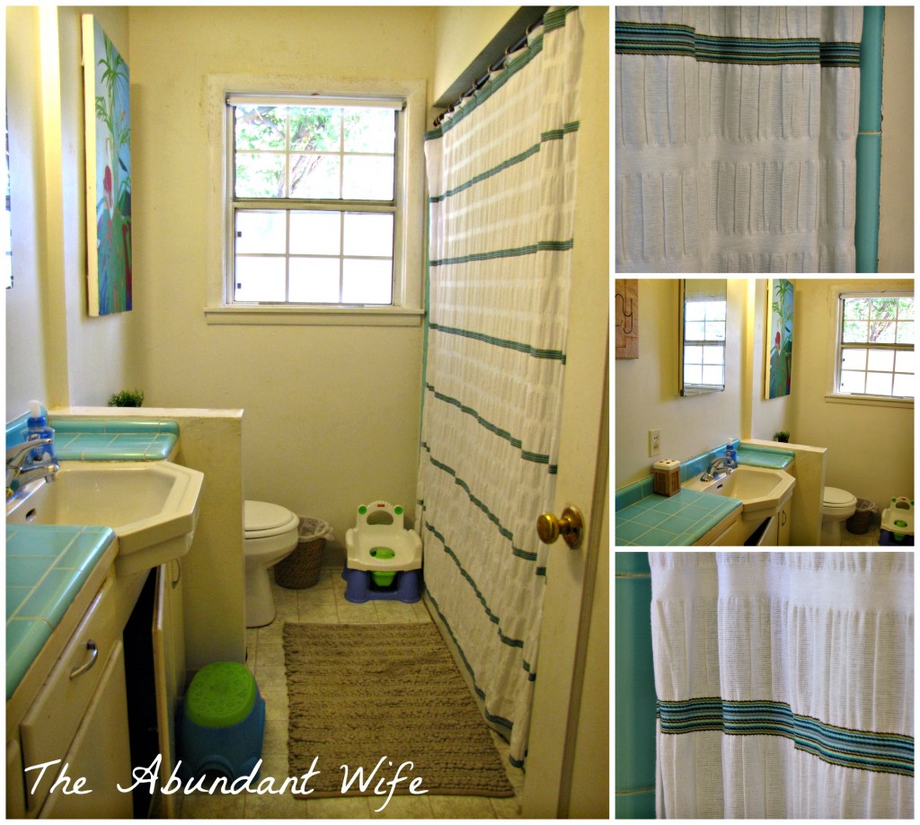 Our White, Turquoise, & Tan Bathroom