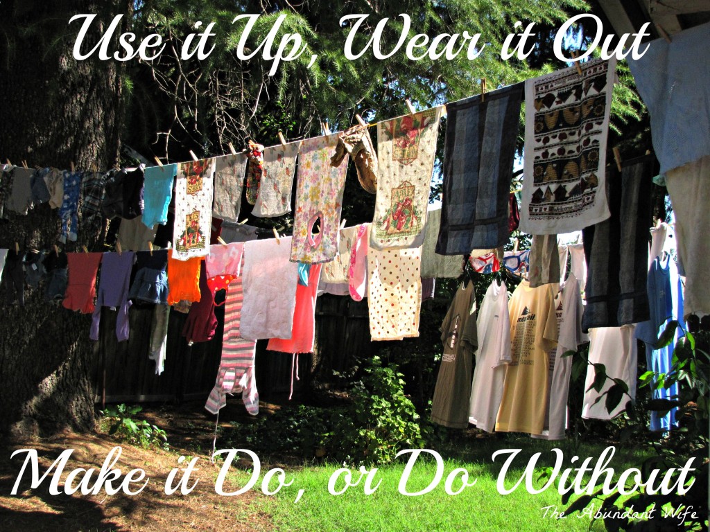 Use it Up, Wear it Out, Make it Do, or Do Without